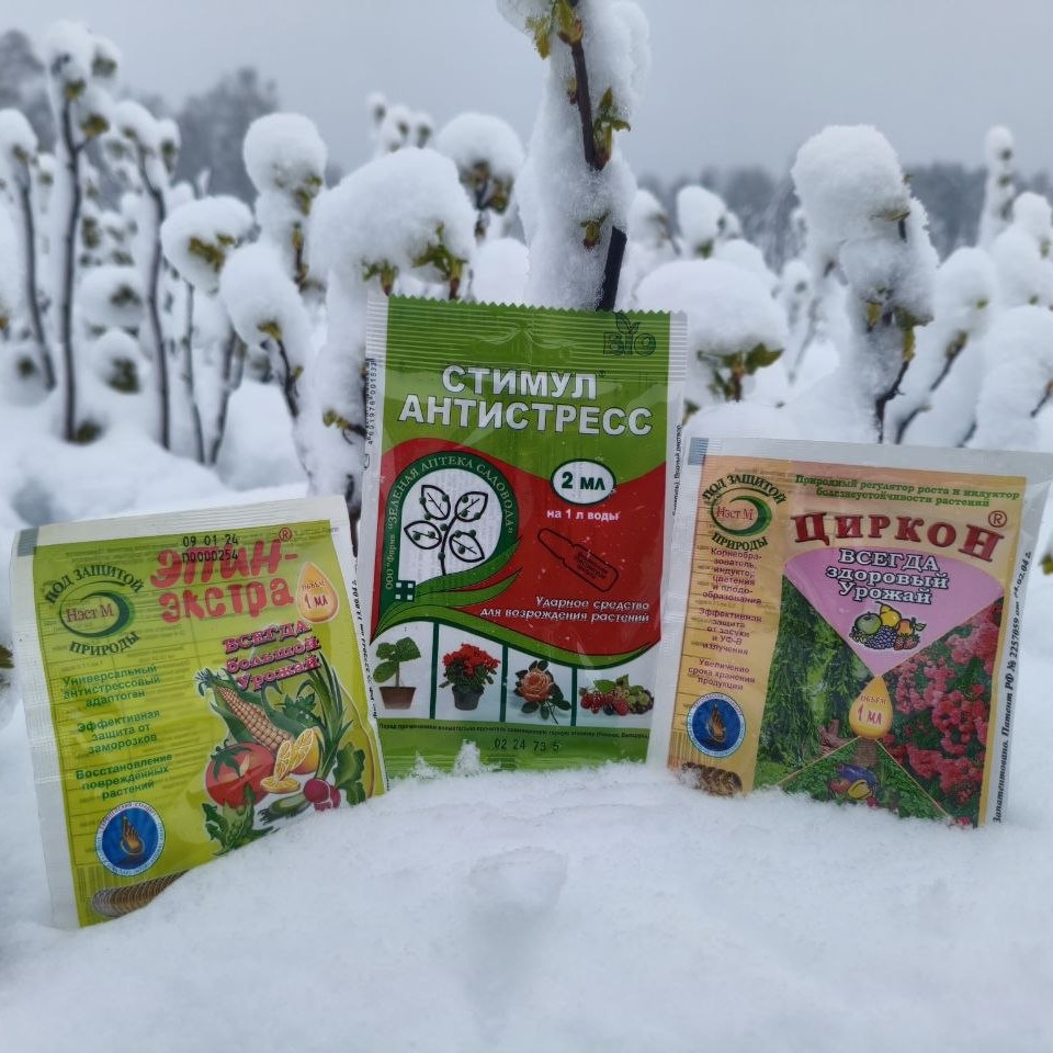 Конец апреля и … снег 